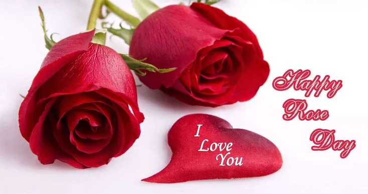 Happy Rose Day