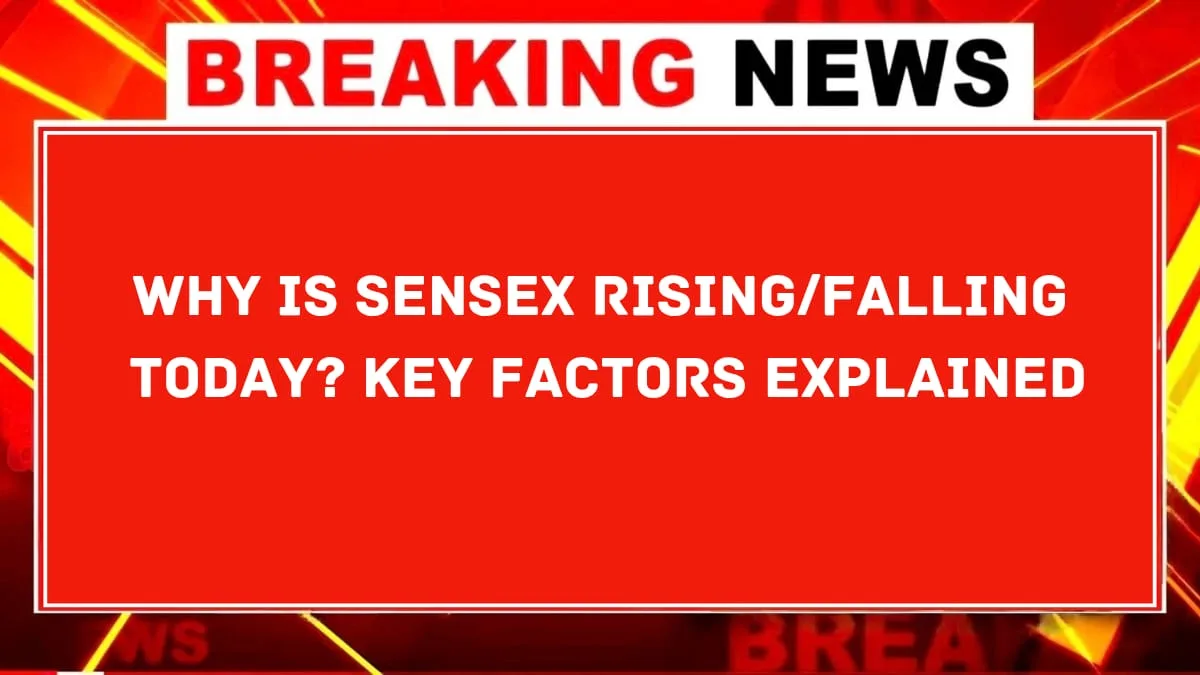 Why Is Sensex RisingFalling Today Key Factors Explained